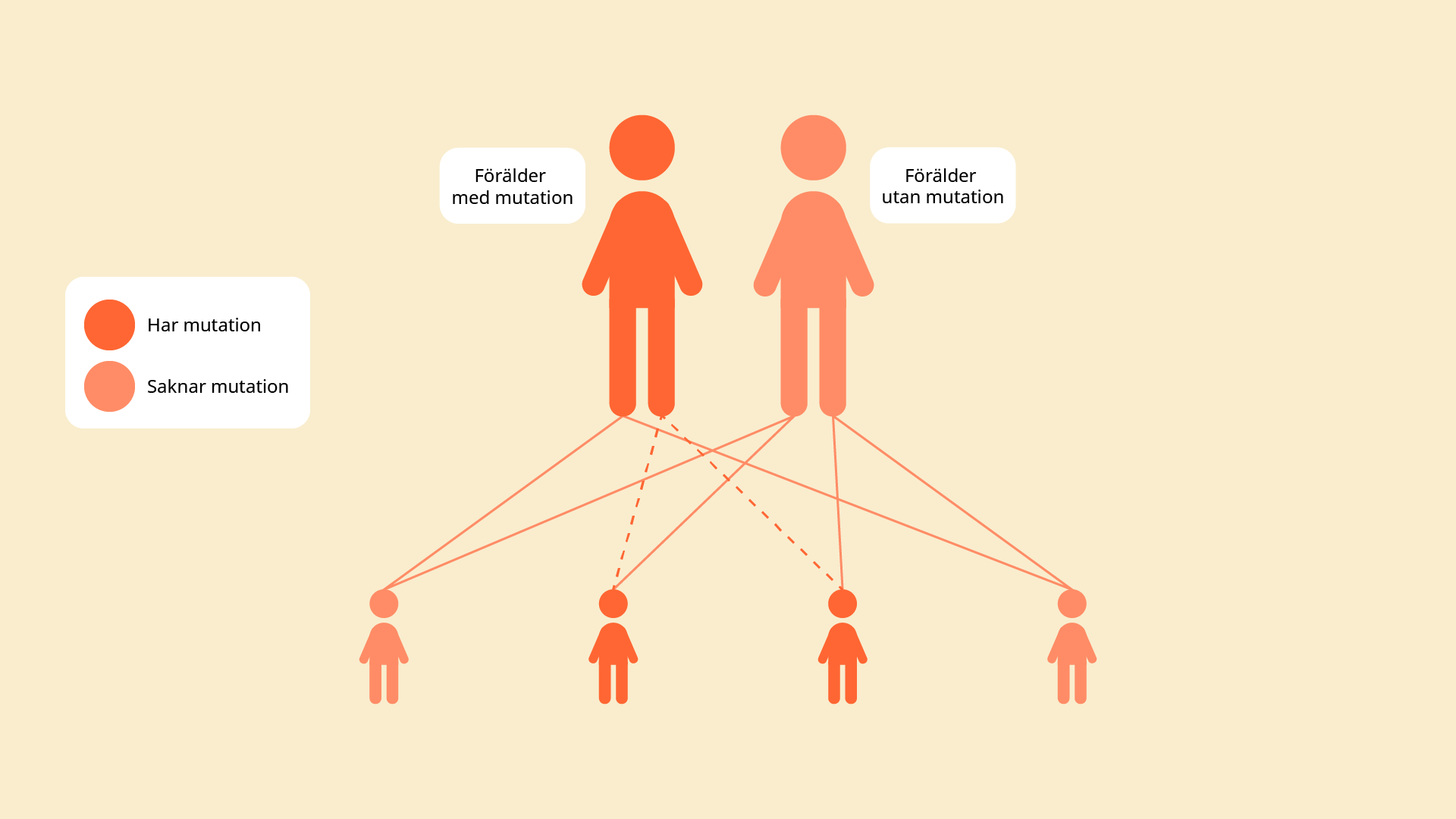 Informativ bild som beskriver symptom och behandling av skelleftesjukan